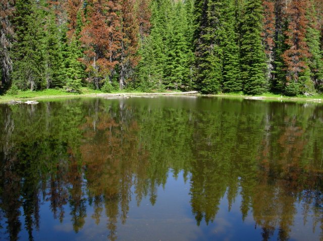 Summer '06 Sunriver II 077 